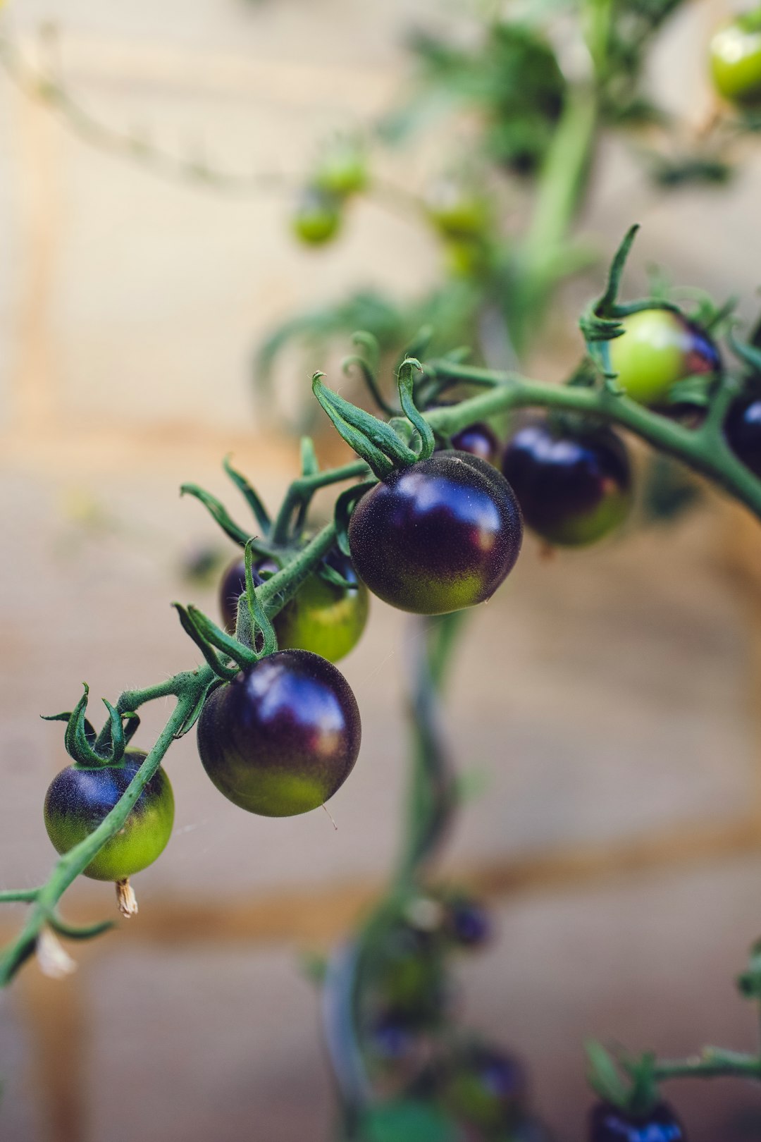 Food Inspiration